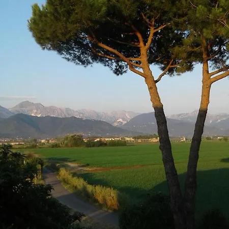 Guest house Il Limone *