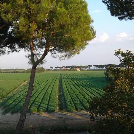 Il Limone *