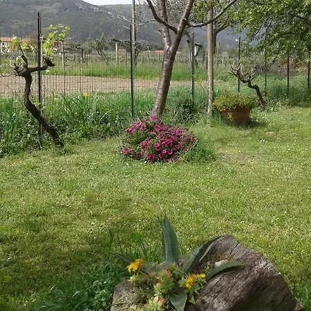 Il Limone Guest house