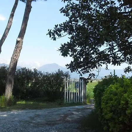 Il Limone