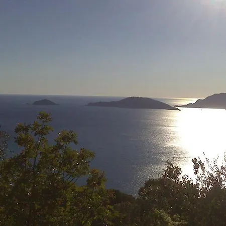 Il Limone Guest house Bocca di Magra