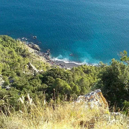 Il Limone