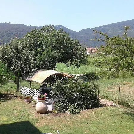 Il Limone