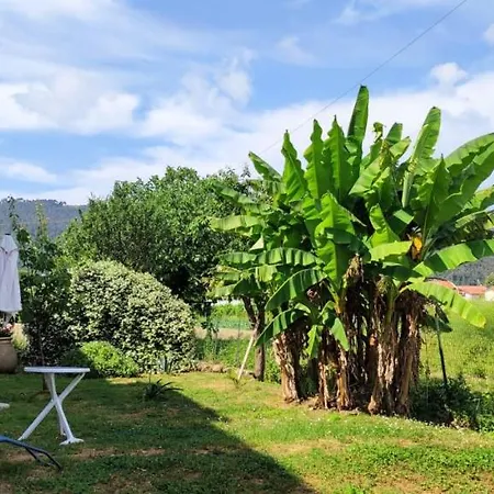 Il Limone Guest house