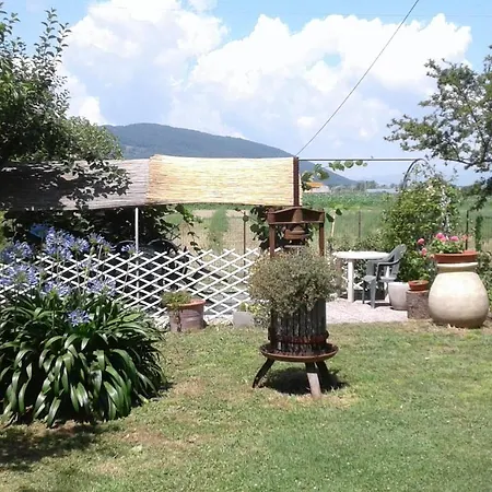Casa de hóspedes Il Limone *